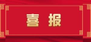 中标中国挪动通讯用磷酸铁锂海角社区
集采名目